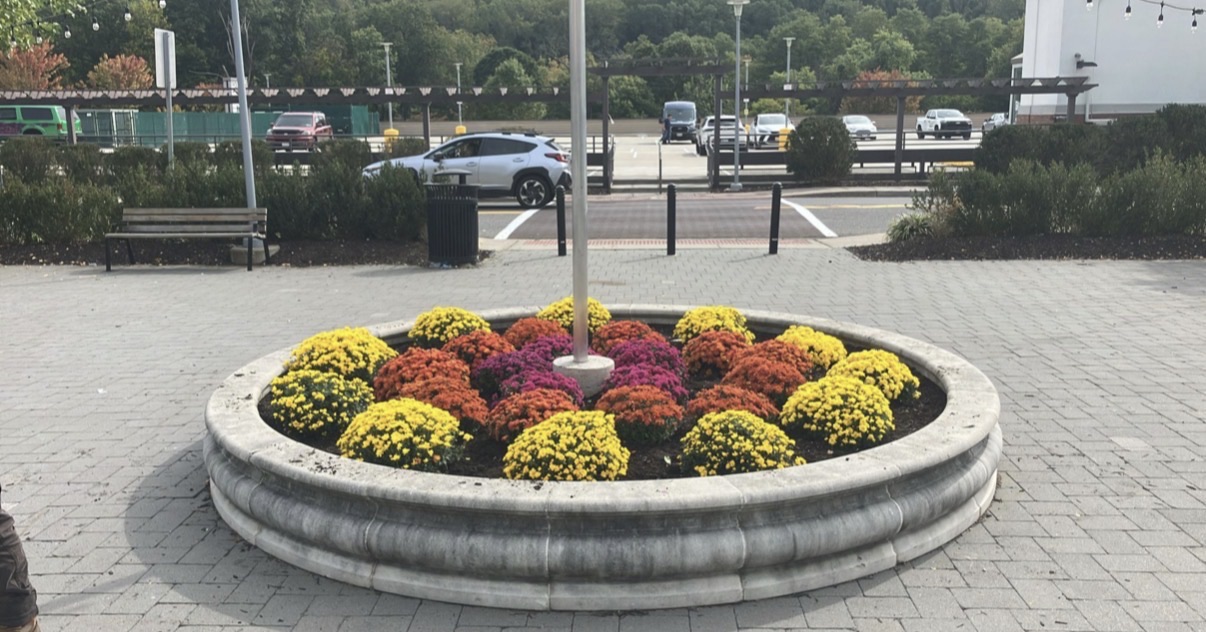 Regis Corporate Plaza: Facilities Management, White Plains, NY
